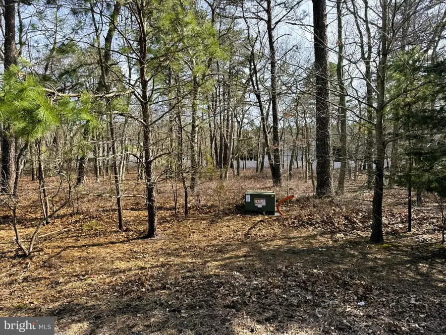 16 Pinewood Dr, Little Egg Harbor, NJ 08087 - #2