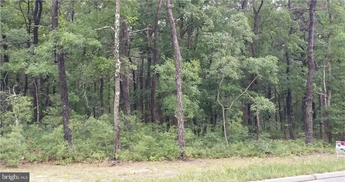 0 Elizabeth Ave, Bayville, NJ 08721 - #1