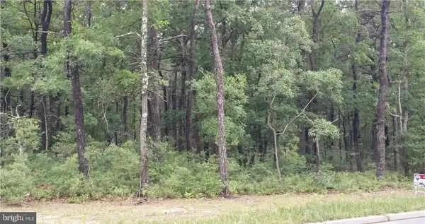 0 Elizabeth Ave, BAYVILLE, NJ 08721