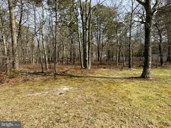 18 Pinewood Dr, LITTLE EGG HARBOR TWP, NJ 08087
