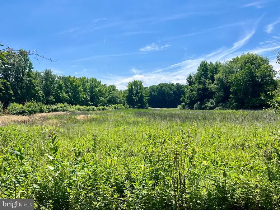 Part Of Lot 34 ___heron Ave, Pennsville, NJ 08070 - Image #2