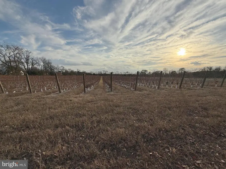 812 Garden Rd, Elmer, NJ 08318 - Image #3