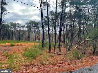 Gravelly Hill Rd, Bridgeton, NJ 08302 - Image #2