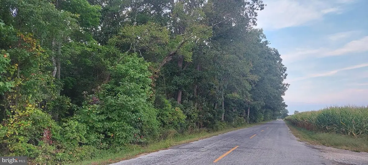 0-00011 010 Mc Kishen Rd, Pittsgrove, NJ 08318 - Image #1