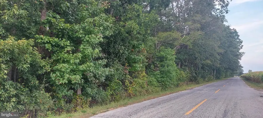 0-00011 010 Mc Kishen Rd, Pittsgrove, NJ 08318 - Image #2