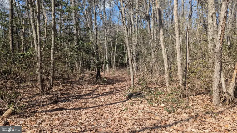 0 Cool Run Rd, Bridgeton, NJ 08302 - #3