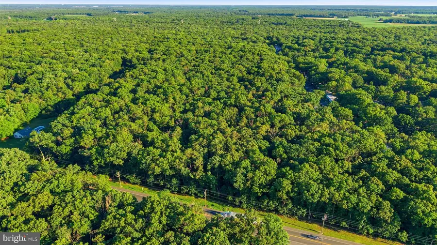 0 Harding Hwy, Pittsgrove, NJ 08318 - #2