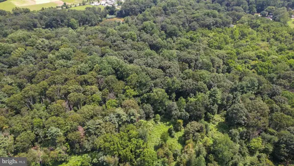 0 Birch Lane, PILESGROVE, NJ 08098