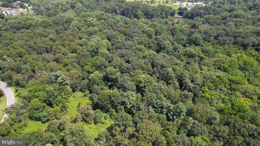 0 Birch Lane, Pilesgrove, NJ 08098 - #3