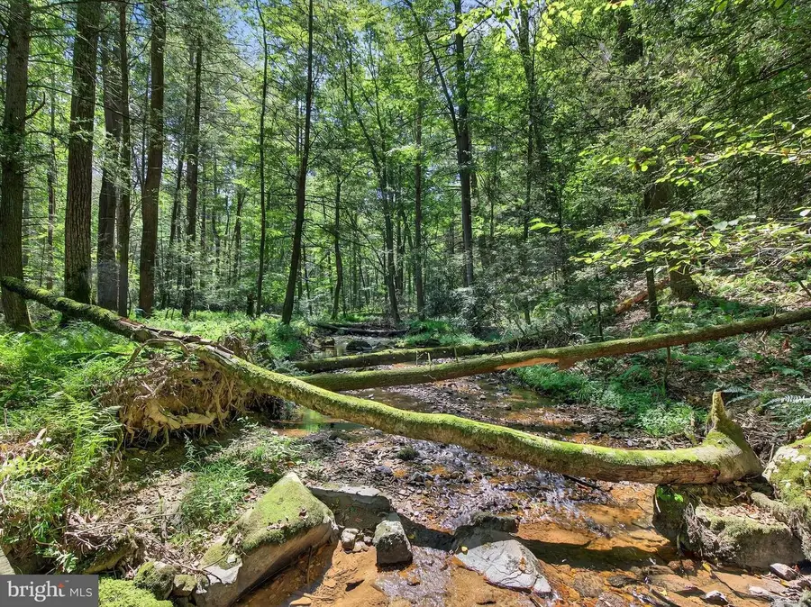 1494 Mountain Rd, Orrtanna, PA 17353 - Image #3