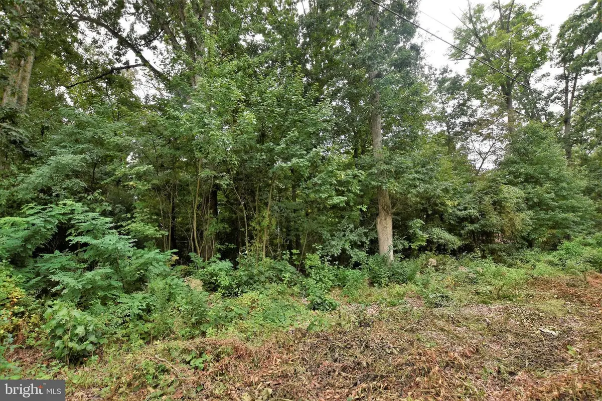 95 Curtis Dr, East Berlin, PA 17316 - #1
