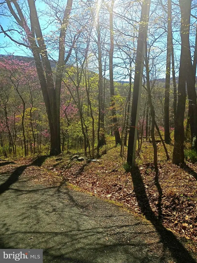 16 Dogwood Trl, Fairfield, PA 17320 - #2