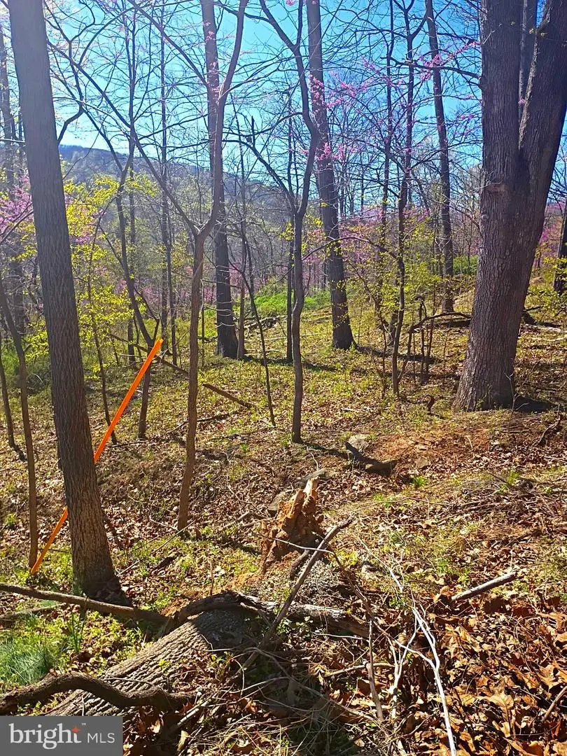 16 Dogwood Trl, Fairfield, PA 17320 - #3