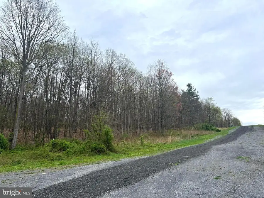 Lot #16 Ridge Way Drive, Everett, PA 15537 - Image #3