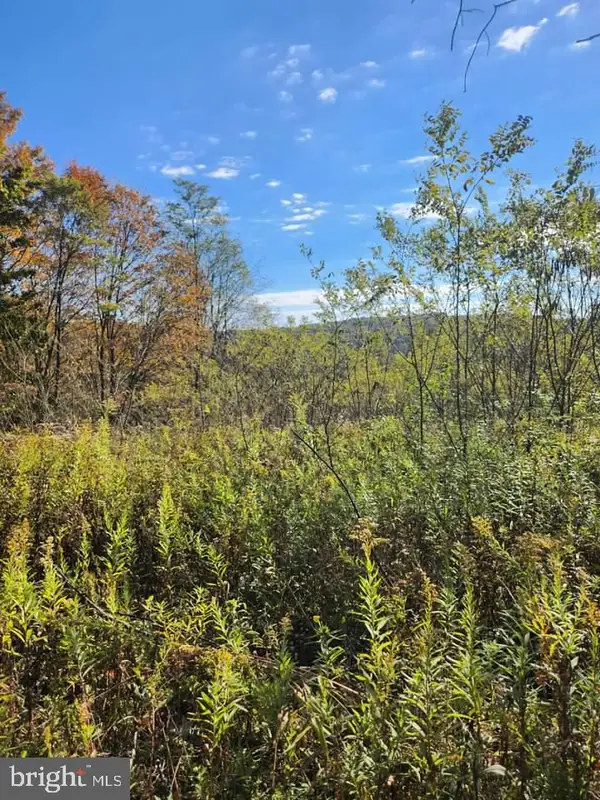 Lots C1-c4 Natures Symphony Road, IMLER, PA 16655