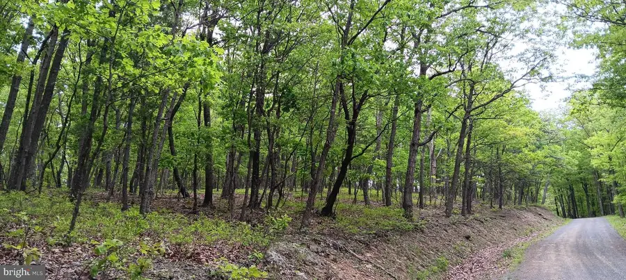 0 Flemming Hill Rd., Manns Choice, PA 15550 - Image #2