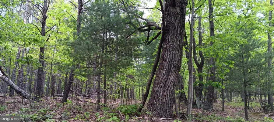 0 Flemming Hill Rd., Manns Choice, PA 15550 - Image #3