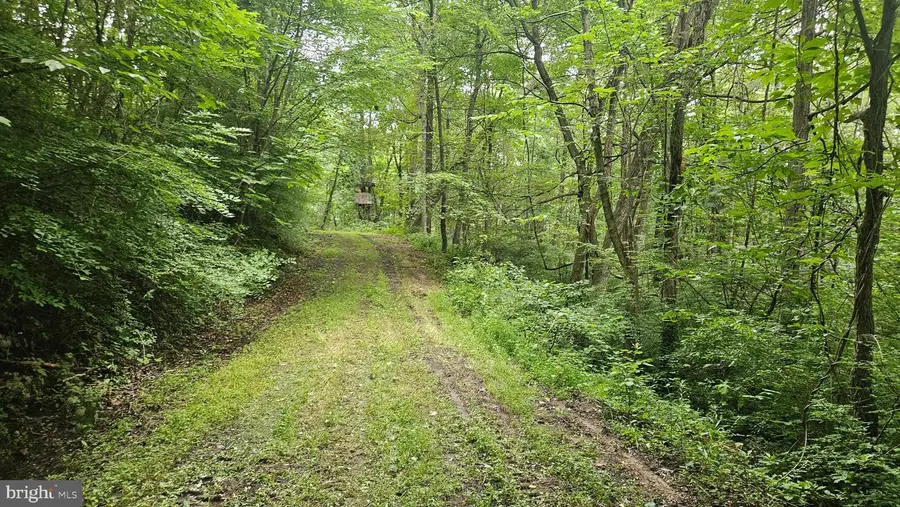 0 Beegle Rd, Everett, PA 15537 - Image #3