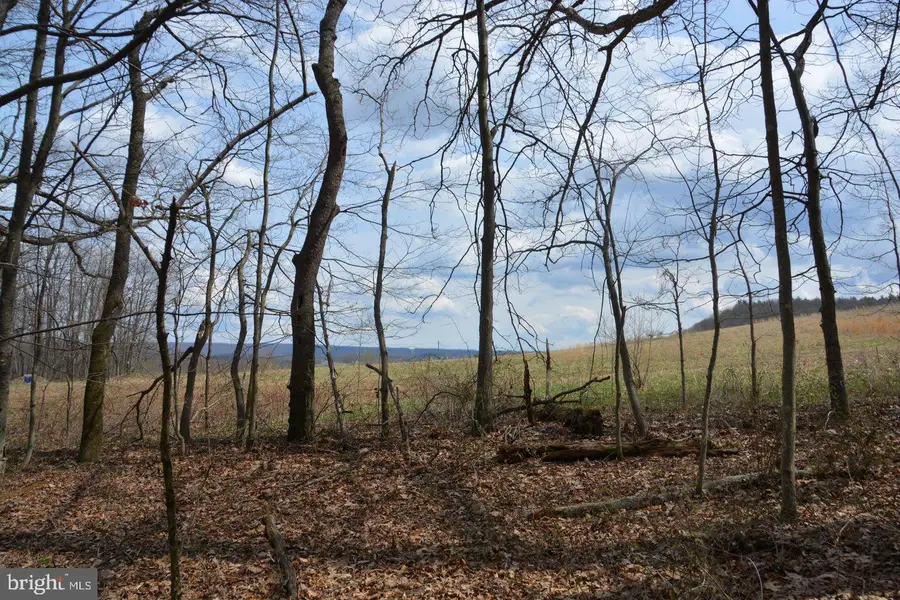 Akers Rd, Clearville, PA 15535 - Image #2