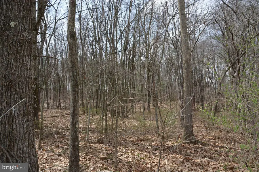 Akers Rd, Clearville, PA 15535 - Image #3