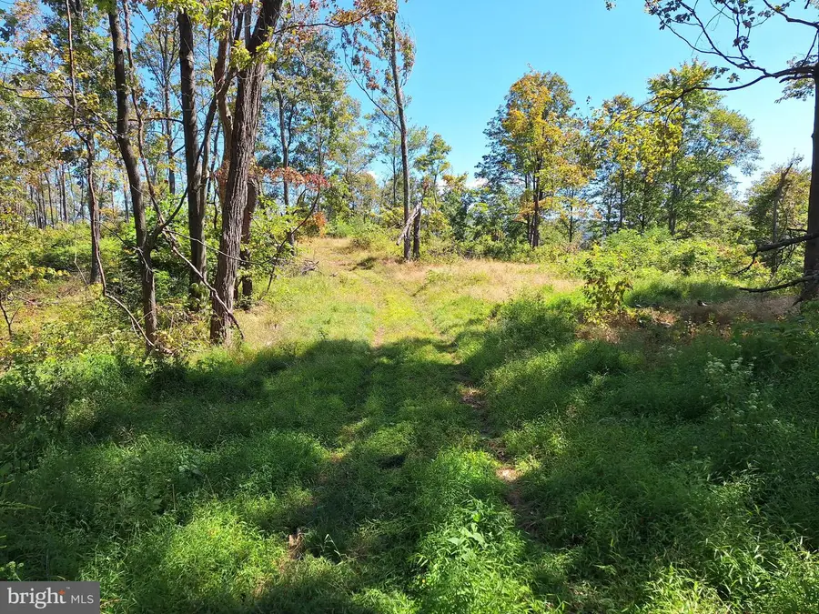 Tiger Valley Rd, Hyndman, PA 15545 - Image #3