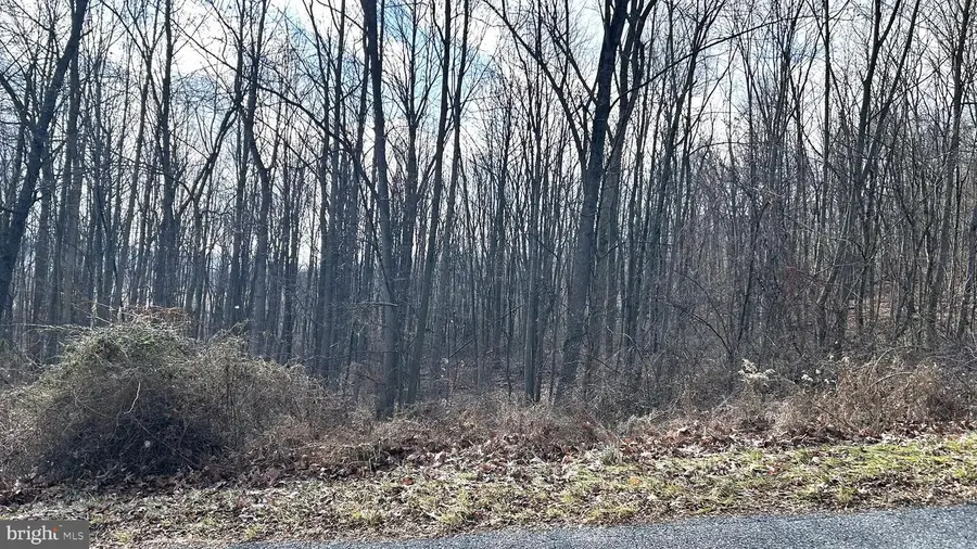 Lot #17 Weaver Woods Rd, Saxton, PA 16678 - Image #3