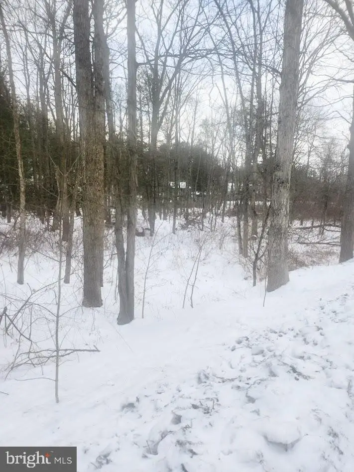 Brush Creek Rd, Breezewood, PA 15533 - #1