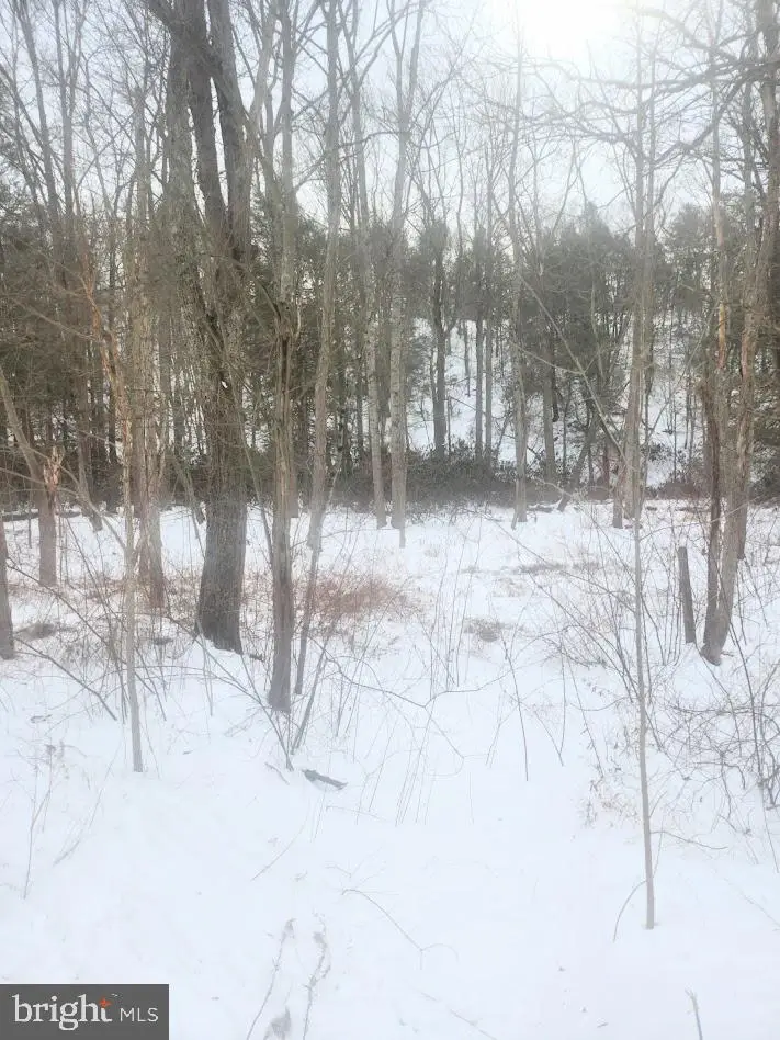 Brush Creek Rd, Breezewood, PA 15533 - #2