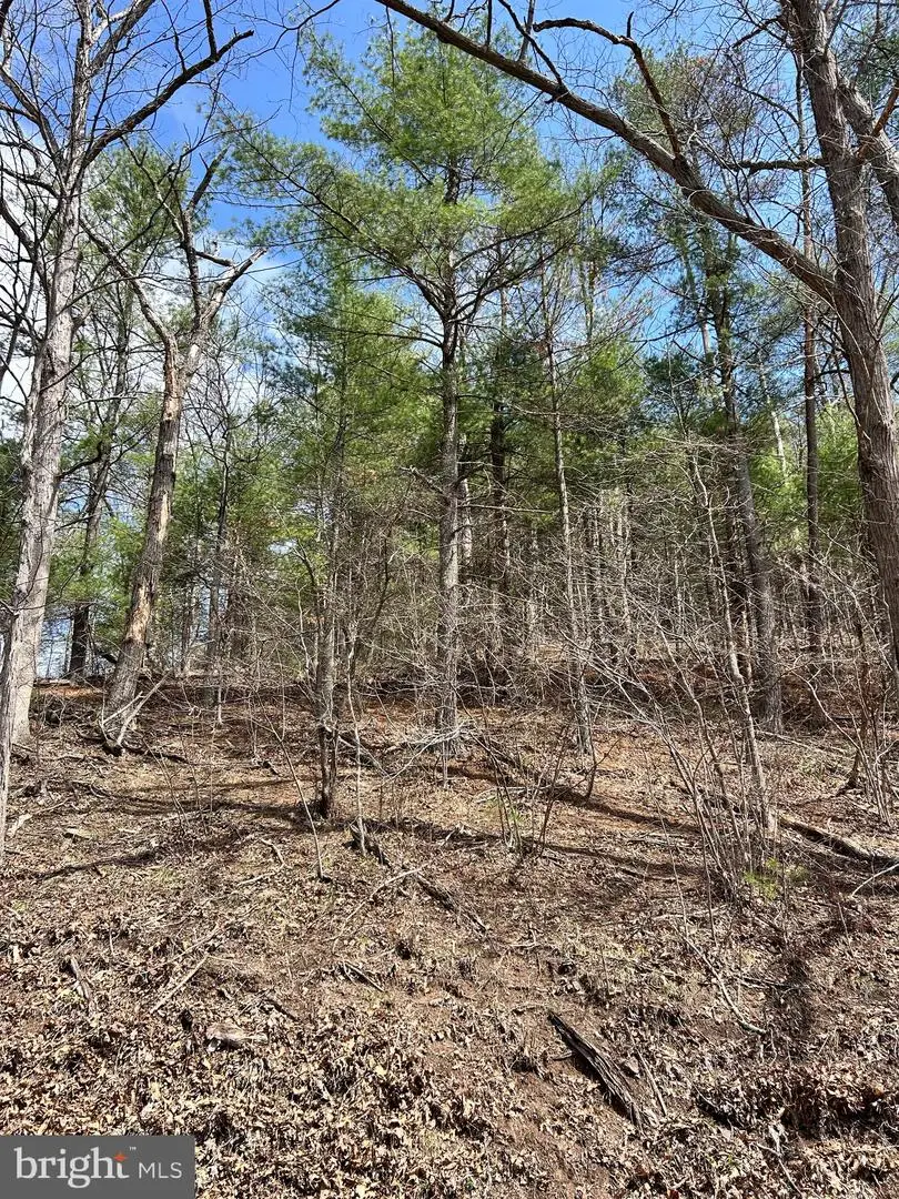 1150 Purcell Rd, Artemas, PA 17211 - #3