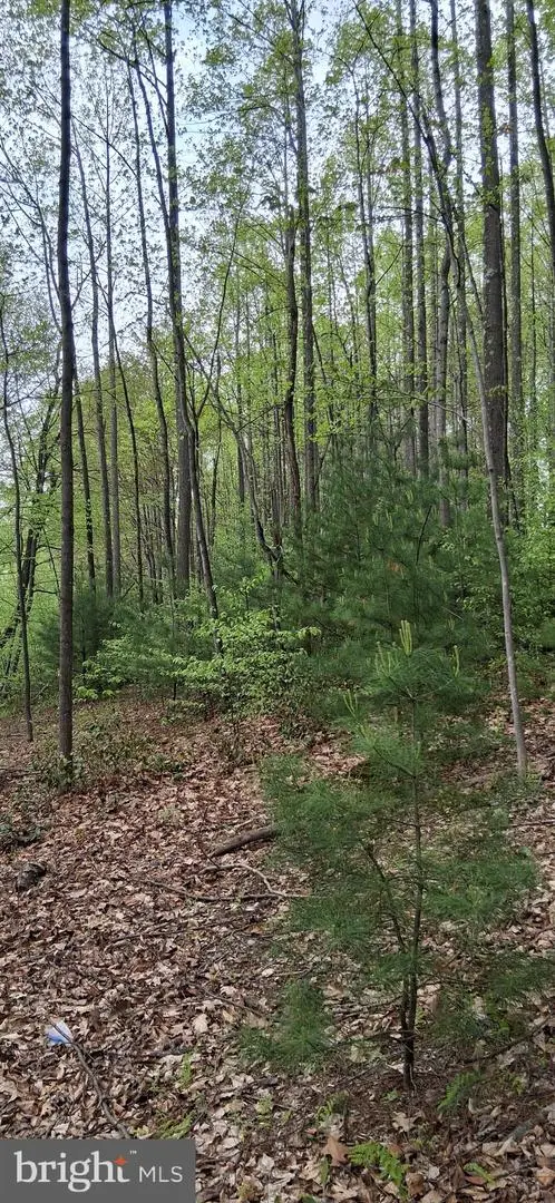 0 Teaberry Rd., Bedford, PA 15522 - #3