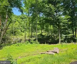 Tiger Valley Rd, HYNDMAN, PA 15545