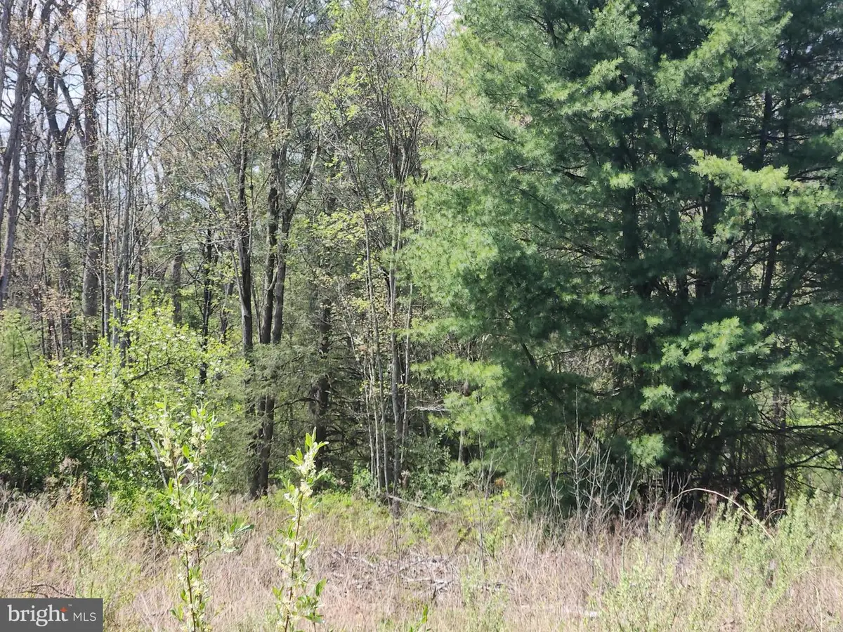 Lot 5 Fickes Rd, Imler, PA 16655 - #1