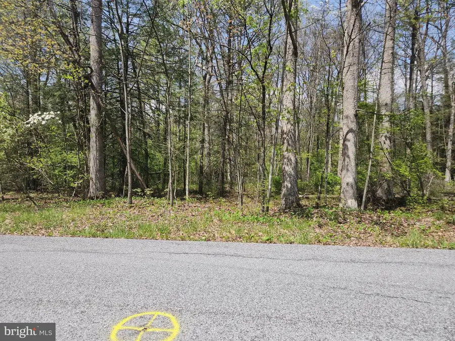 Lot 6 Fickes Rd, Imler, PA 16655 - #3