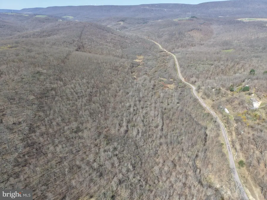 129+/- Acres Black Hollow Rd, Schellsburg, PA 15559 - #2