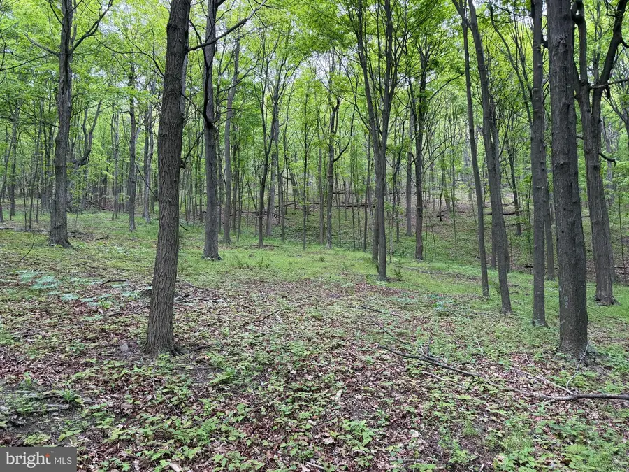 55ac Main Road, Bedford, PA 15522 - #2