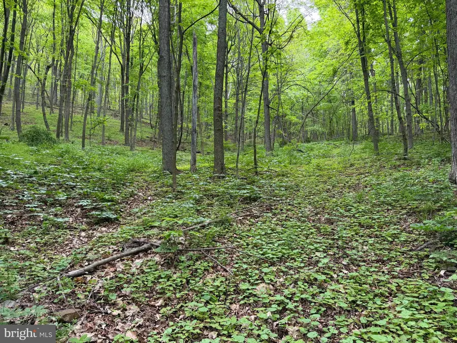 55ac Main Road, Bedford, PA 15522 - #3