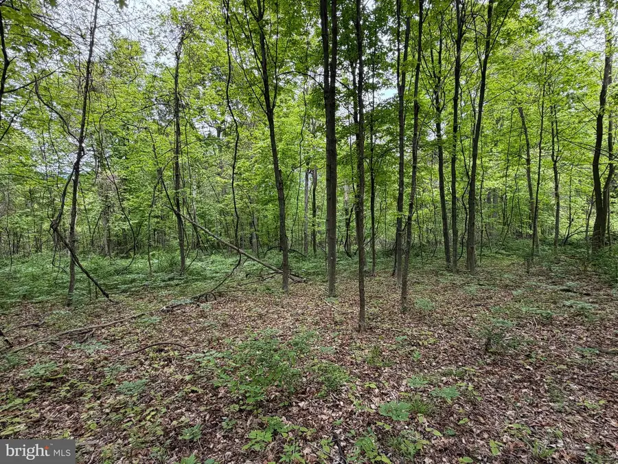 42ac Main Road, Bedford, PA 15522 - #3