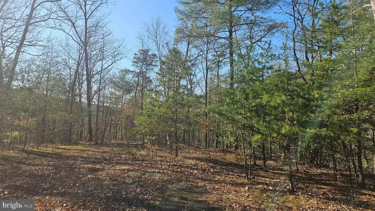 00 Tiger Valley Rd, Hyndman, PA 15545 - #1