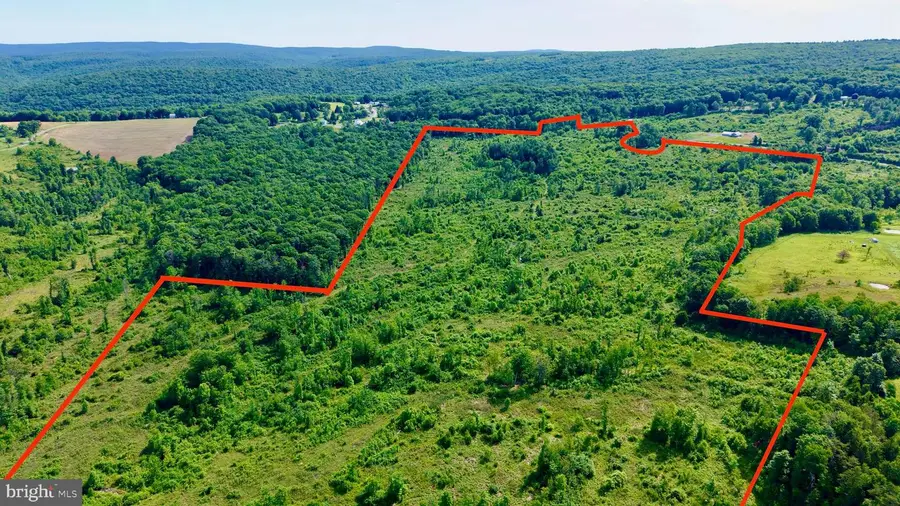 0 Enid Mountain Rd, Six Mile Run, PA 16679 - #3