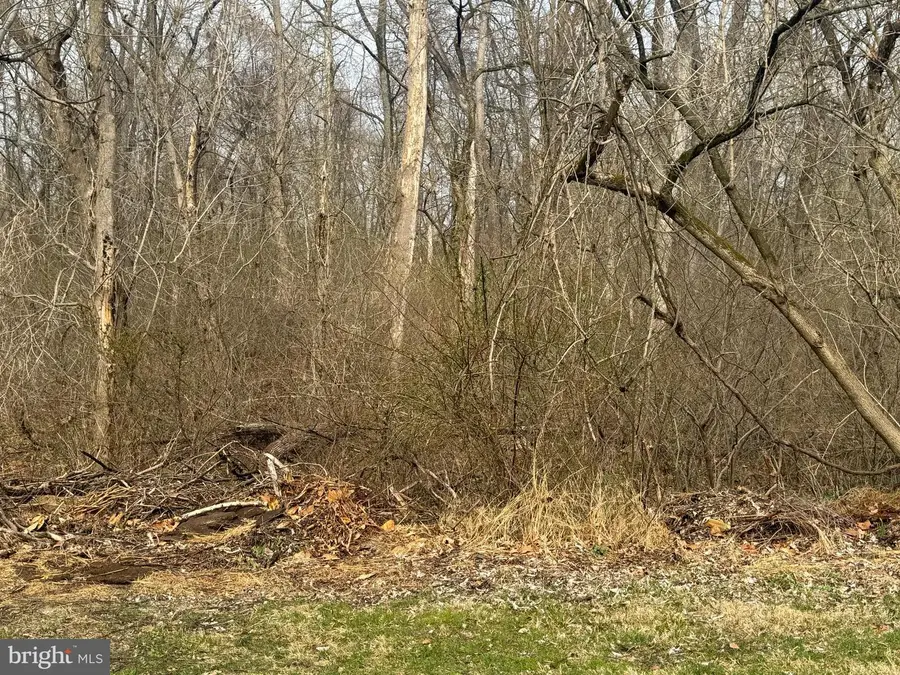 0 Old River Rd, Birdsboro, PA 19508 - Image #3