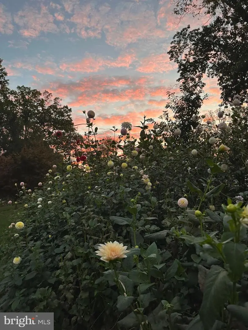 1605 Farr Rd, Reading, PA 19610 - #3