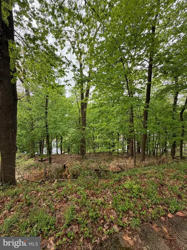 1707 Mineral Spring Rd, READING, PA 19602