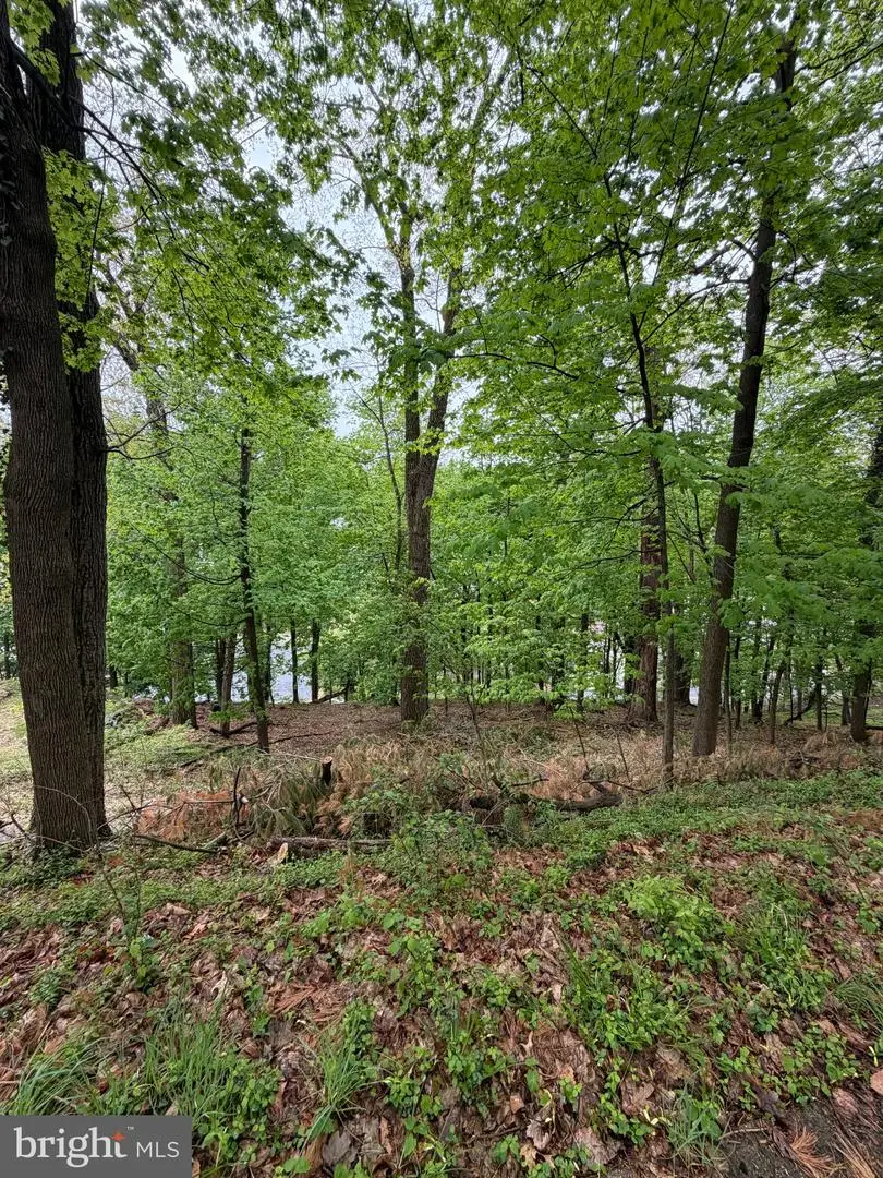 1707 Mineral Spring Rd, Reading, PA 19602 - #2