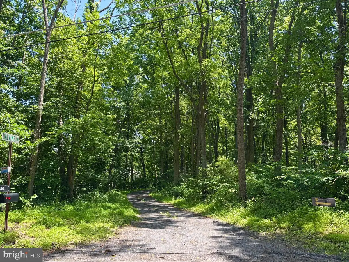 Tower Rd, Mertztown, PA 19539 - #1