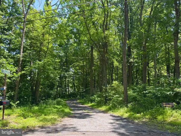 Tower Rd, MERTZTOWN, PA 19539