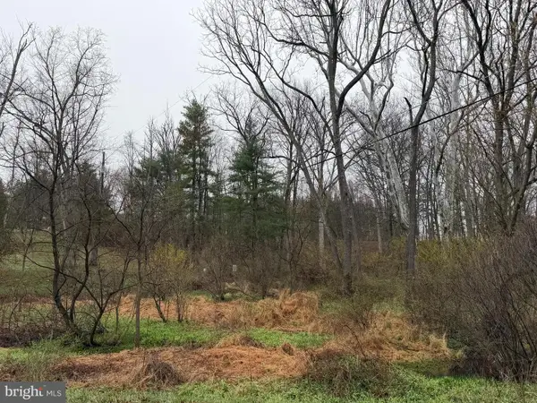 581 Monocacy Hill Rd, BIRDSBORO, PA 19520