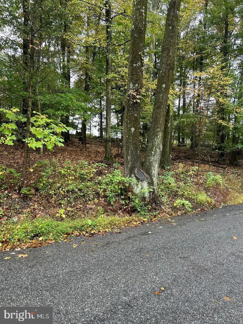 0 Schock Rd, Lenhartsville, PA 19534 - #2