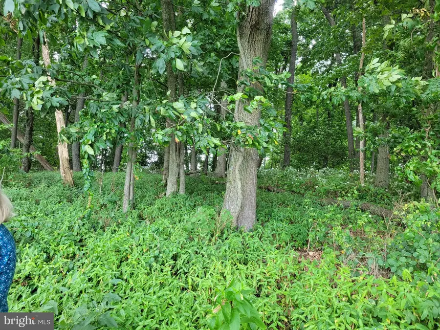 0 Schock Rd, Lenhartsville, PA 19534 - #3