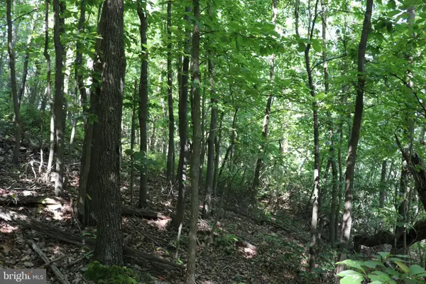Lot 320 Ridge Run, CLAYSBURG, PA 16625