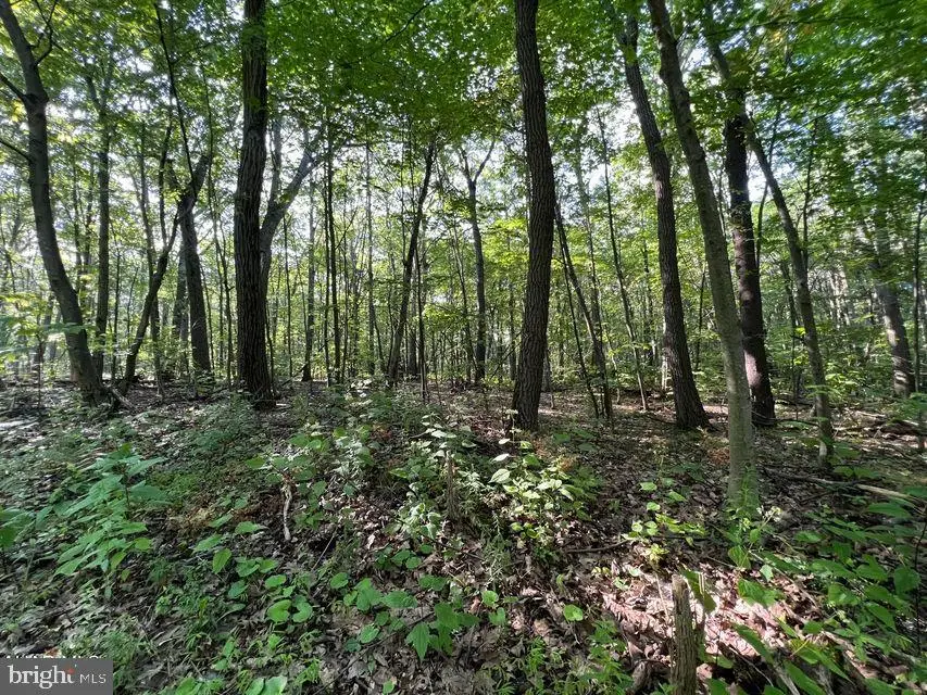 117 & 118 Kittanning (overland Pass) Run, Claysburg, PA 16625 - Image #1